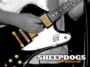 1380977_506393576117918_208746112_n