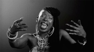 Shirley-Davis-The-Silverbacks-My-Universe